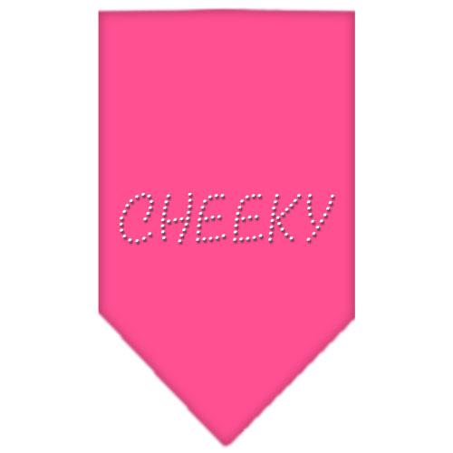 Cheeky Rhinestone Bandana Bright Pink Small